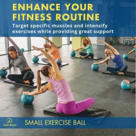 ProBody Pilates Small Exercise Ball - 9 Inch Workout Ball for Stability, Barre, Yoga, Core & Physical Therapy, Home Gym & Office Use (Blue) ProBody Pilates Small Exercise Ball - 9 Inch Workout Ball for Stability, Barre, Yoga, Core & Physical Therapy, Home Gym & Office Use (Blue)