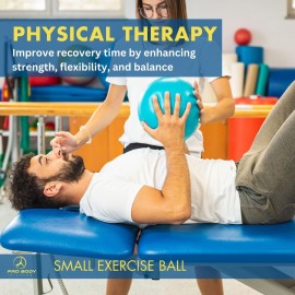 ProBody Pilates Small Exercise Ball - 9 Inch Workout Ball for Stability, Barre, Yoga, Core & Physical Therapy, Home Gym & Office Use (Blue) ProBody Pilates Small Exercise Ball - 9 Inch Workout Ball for Stability, Barre, Yoga, Core & Physical Therapy, Home Gym & Office Use (Blue)