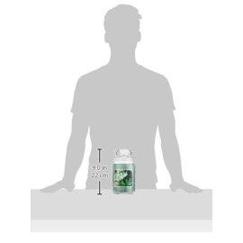 Village Candle Eucalyptus Mint Large Glass Apothecary Jar Scented Candle, 21.25 oz, Green Village Candle Eucalyptus Mint Large Glass Apothecary Jar Scented Candle, 21.25 oz, Green