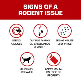 Tomcat Attractant Gel, Attracts Mice and Rats, Great Alternative to Cheese or Peanut Butter, 1 oz.