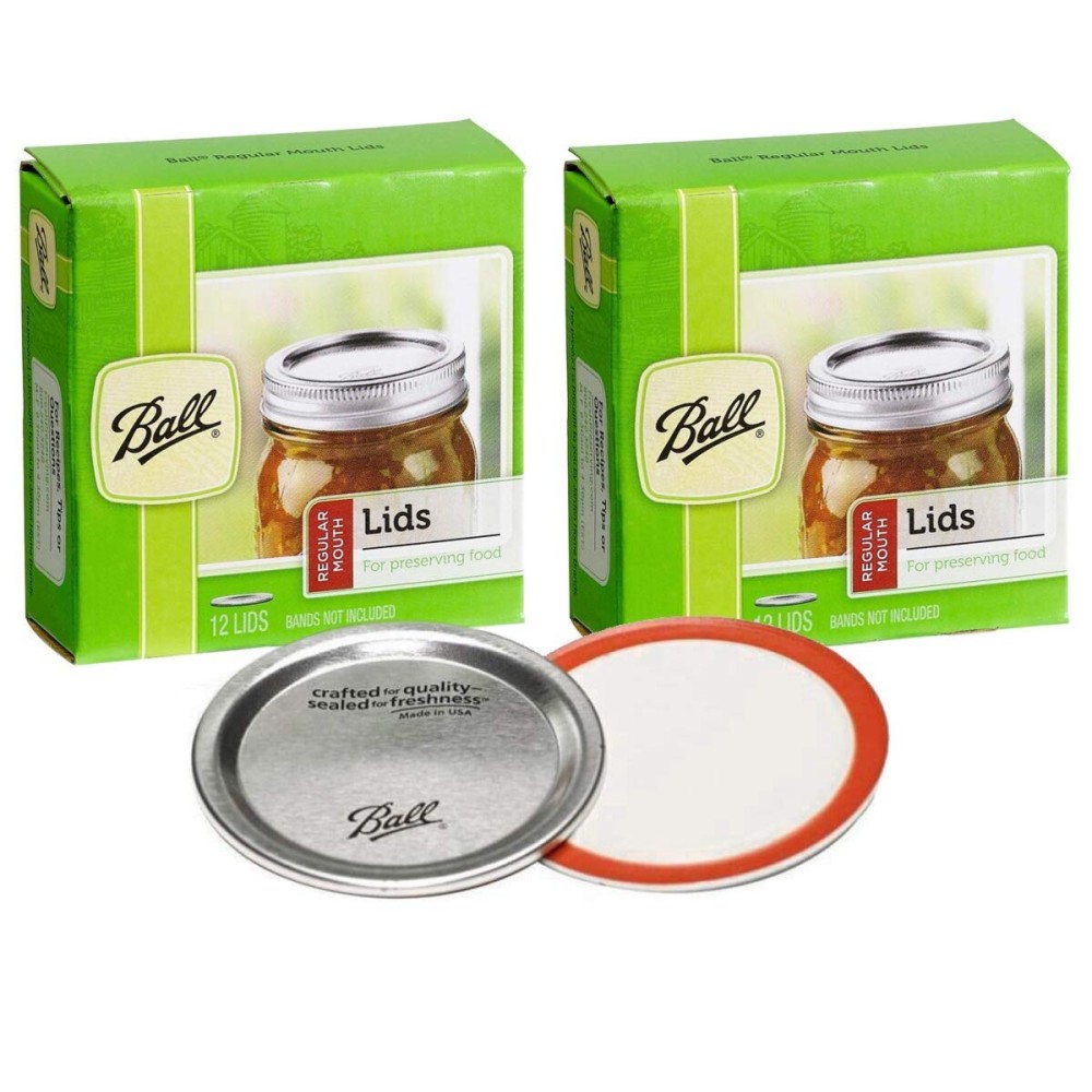 Ball Regular Mouth Mason Glass Jar Lids (24-Count), Silver Ball Regular Mouth Mason Glass Jar Lids (24-Count), Silver