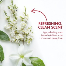 Ban Invisible Roll-on Antiperspirant Deodorant for Women and Men, 24-Hour Underarm Odor & Sweat Protection, Regular, 3.5 Oz, Pack of 2