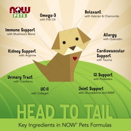 NOW Foods Pet Health, L-Lysine Supplement, Powder, Formulated for Cats, NASC Certified, 8-Ounce NOW Foods Pet Health, L-Lysine Supplement, Powder, Formulated for Cats, NASC Certified, 8-Ounce