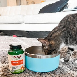 NOW Foods Pet Health, L-Lysine Supplement, Powder, Formulated for Cats, NASC Certified, 8-Ounce NOW Foods Pet Health, L-Lysine Supplement, Powder, Formulated for Cats, NASC Certified, 8-Ounce