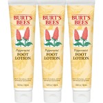 Burt\'s Bees Peppermint Foot Lotion, Pack of 3