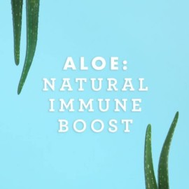 Lily Of The Desert Aloe Vera Juice Drink, Inner Fillet, Vegan Dietary & Immune Support, Gluten Free Liquid Digestive Aid, No Water Added, 16 Fl Oz Lily Of The Desert Aloe Vera Juice Drink, Inner Fillet, Vegan Dietary & Immune Support, Gluten Free Liquid Digestive Aid, No Water Added, 16 Fl Oz