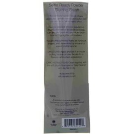 e.l.f. Powder Blurring Brush, Makeup Brush For Creating A Soft-Focus Finish, Great For Under Eyes, Around The Nose & Brows, Vegan & Cruelty-Free e.l.f. Powder Blurring Brush, Makeup Brush For Creating A Soft-Focus Finish, Great For Under Eyes, Around The Nose & Brows, Vegan & Cruelty-Free