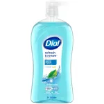 Dial Body Wash, Refresh & Renew Spring Water, 32 fl oz