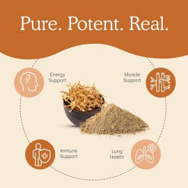 Real Mushrooms Cordyceps Powder - Performance Mushroom Extract with Organic Militaris for Energy Immune Support Vegan Supplement, Boost Non-GMO, 60 Servings Real Mushrooms Cordyceps Powder - Performance Mushroom Extract with Organic Militaris for Energy Immune Support Vegan Supplement, Boost Non-GMO, 60 Servings