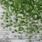 Yatim 78-Ft 12 Pack Silk Artificial Ivy Vines Leaf Garland Plants Hanging Wedding Garland Fake Foliage Flowers Home Kitchen Garden Office Wedding Wall Decor