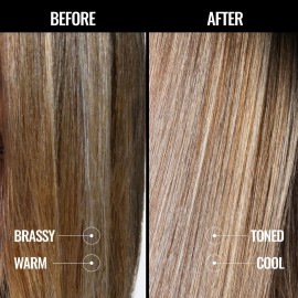 Pravana The Perfect Blonde Seal & Protect Leave-In Conditioner | Neutralizes Brassy, Yellow Tones | For Color-Treated Hair | Detangles, Protects, Moisturizes Strands | 10.1 Fl Oz Pravana The Perfect Blonde Seal & Protect Leave-In Conditioner | Neutralizes Brassy, Yellow Tones | For Color-Treated Hair | Detangles, Protects, Moisturizes Strands | 10.1 Fl Oz