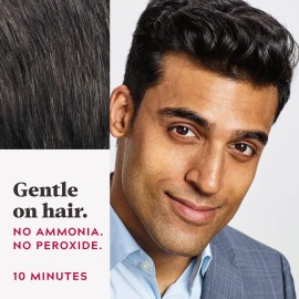 Just For Men Easy Comb-In Color Mens Hair Dye, Easy No Mix Application with Comb Applicator - Rich Black, A-65, Pack of 1