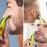 Philips OneBlade Hybrid Electric Trimmer and Shaver, QP2520