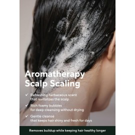 AROMATICA Tea Tree Purifying Shampoo 13.53fl.oz./400ml, Tea Tree Shampoo for Oily Hair and Scalp, Sulfate Free, Vegan AROMATICA Tea Tree Purifying Shampoo 13.53fl.oz./400ml, Tea Tree Shampoo for Oily Hair and Scalp, Sulfate Free, Vegan