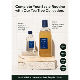 AROMATICA Tea Tree Purifying Shampoo 13.53fl.oz./400ml, Tea Tree Shampoo for Oily Hair and Scalp, Sulfate Free, Vegan AROMATICA Tea Tree Purifying Shampoo 13.53fl.oz./400ml, Tea Tree Shampoo for Oily Hair and Scalp, Sulfate Free, Vegan