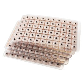 Dragon Acupuncture Ear Seeds 600 Counts Refill Pack