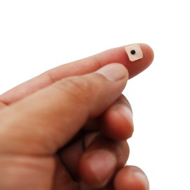 Dragon Acupuncture Ear Seeds 600 Counts Refill Pack