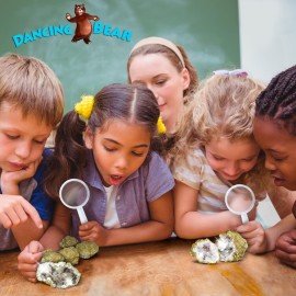 DANCING BEAR 25 Break Your Own Geodes, (Medium 1-1.5) 90% Hollow, Crack Open & Discover Amazing Surprise Crystals Inside! Educational Info and Instructions Included, Fun Party Favors & Prizes DANCING BEAR 25 Break Your Own Geodes, (Medium 1-1.5) 90% Hollow, Crack Open & Discover Amazing Surprise Crystals Inside! Educational Info and Instructions Included, Fun Party Favors & Prizes