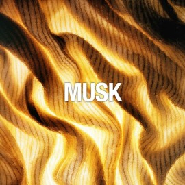 Lucky Brand, Lucky You Women\'s Body Mist, Eau de Toilette Spray, Day or Night Fragrance with Fresh Flower Citrus Scent, 8 Fl Oz