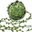 Hecaty 269ft Leaf Ribbon, Baby Shower Decorations Artificial Vines Leaf String Trim Ribbon for Decorative Jungle Plant Green Home Wedding Party Balloon Garland DIY Craft