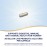 Nature\'s Way Fortify Daily Probiotic for Women, 30 Billion Live Cultures, 10 Strains, Prebiotics, Supports Digestive & Immune Health*, No Refrigeration Required, 30 Capsules (Packaging May Vary)