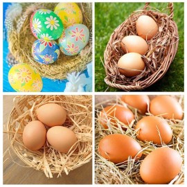YunKo 6Pcs Wooden Eggs Easter Brown Fake Wood Nest Eggs for Craft Decorate Get hens to Lay Eggs Chicken Coop Accessories