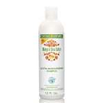 Shampoo with Mango & Shea Butter by Creme of Nature, Ultra Moisturizing for Dry Dehydrated Hair, 12 Fl Oz