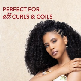 Leave In Conditioner with Mango & Shea Butter by Creme of Nature, Ultra Moisturizing for Dry Dehydrated Hair, 12 Fl Oz Leave In Conditioner with Mango & Shea Butter by Creme of Nature, Ultra Moisturizing for Dry Dehydrated Hair, 12 Fl Oz