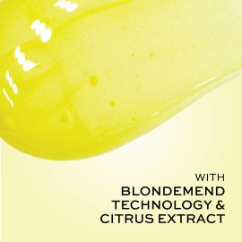 John Frieda Go Blonder Lightening Shampoo for Blonde Color-Treated Hair, Paraben, Phthalate, Silicone and Ammonia Free, Cruelty Free, Vegan Friendly Shampoo 8.3 oz Bottle