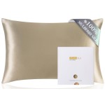 ZIMASILK 100% Pure Mulberry Queen Size Silk Pillowcase for Hair and Skin Health,Soft and Smooth,Both Sides Premium Grade 6A Silk,600 Thread Count,with Hidden Zipper,1pc (20\'\'x30\'\',Taupe)