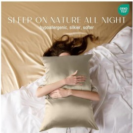 ZIMASILK 100% Pure Mulberry Queen Size Silk Pillowcase for Hair and Skin Health,Soft and Smooth,Both Sides Premium Grade 6A Silk,600 Thread Count,with Hidden Zipper,1pc (20\'\'x30\'\',Taupe)