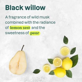 ATTITUDE 2-in-1 Body Wash and Hair Shampoo, EWG Verified Shower Gel, Dermatologically Tested, Made with Naturally Derived Ingredients, Vegan Personal Care, Black Willow and Aspen, 16 Fl Oz ATTITUDE 2-in-1 Body Wash and Hair Shampoo, EWG Verified Shower Gel, Dermatologically Tested, Made with Naturally Derived Ingredients, Vegan Personal Care, Black Willow and Aspen, 16 Fl Oz