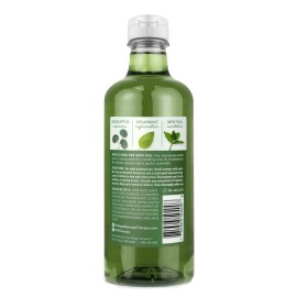 Village Naturals Therapy Muscle Foaming Bath Oil and Body Wash 16 oz. 2 pack, Green, 16 oz Village Naturals Therapy Muscle Foaming Bath Oil and Body Wash 16 oz. 2 pack, Green, 16 oz