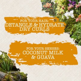 Maui Moisture Nourish & Moisture + Coconut Milk Conditioner to Hydrate and Detangle Curly Hair, Lightweight Daily Moisturizing Conditioner, Vegan, Silicone & Paraben-Free, 13 fl oz Maui Moisture Nourish & Moisture + Coconut Milk Conditioner to Hydrate and Detangle Curly Hair, Lightweight Daily Moisturizing Conditioner, Vegan, Silicone & Paraben-Free, 13 fl oz