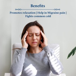 Blue Nectar Vishranti Destress Roll on and Meditation Oil with Cinnamon, Clove, Ginger, Mint Essential Oils (9 Herbs, 0.3 Fl oz) Blue Nectar Vishranti Destress Roll on and Meditation Oil with Cinnamon, Clove, Ginger, Mint Essential Oils (9 Herbs, 0.3 Fl oz)