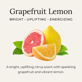Little Seed Farm All Natural Deodorant Cream, Aluminum Free Deodorant for Women or Men, 2.4 Ounce - Grapefruit Lemon Little Seed Farm All Natural Deodorant Cream, Aluminum Free Deodorant for Women or Men, 2.4 Ounce - Grapefruit Lemon