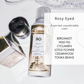 R+Co Trophy Shine + Texture Spray 198 ml / 6 oz R+Co Trophy Shine + Texture Spray 198 ml / 6 oz