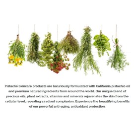 Pistach Skincare Pistachio Oil Whipped Body Butter Cream Moisturizer (a.k.a The Boyfriend Body Butter) + Hydrates Dry Skin and Nourishes + Vitamin E + Antioxidant Protection, 8.0 oz Pistach Skincare Pistachio Oil Whipped Body Butter Cream Moisturizer (a.k.a The Boyfriend Body Butter) + Hydrates Dry Skin and Nourishes + Vitamin E + Antioxidant Protection, 8.0 oz