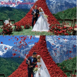 CODE FLORIST 2200 PCS Dark-Red Silk Rose Petals for Romantic Night,Wedding,Proposal Anniversary Flower Decorations CODE FLORIST 2200 PCS Dark-Red Silk Rose Petals for Romantic Night,Wedding,Proposal Anniversary Flower Decorations