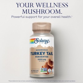 SOLARAY Fermented Turkey Tail Mushroom Supplement 1000mg - Overall Wellness Support - Turkey Tail Mushroom Capsules with Organic Mushrooms - Vegan, Non-GMO, Lab Verified, 60-Day Guarantee, 30 Servings SOLARAY Fermented Turkey Tail Mushroom Supplement 1000mg - Overall Wellness Support - Turkey Tail Mushroom Capsules with Organic Mushrooms - Vegan, Non-GMO, Lab Verified, 60-Day Guarantee, 30 Servings