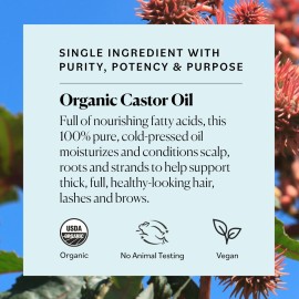 Sky Organics Organic Castor Oil Eyelash & Brow Serum, Hexane-Free Conditioning Oil that Promotes Fuller Looking Lashes & Eye Brows, 100% Pure & Cold-Pressed 1 fl. Oz. / 30 ml w ebook Sky Organics Organic Castor Oil Eyelash & Brow Serum, Hexane-Free Conditioning Oil that Promotes Fuller Looking Lashes & Eye Brows, 100% Pure & Cold-Pressed 1 fl. Oz. / 30 ml w ebook