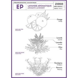 Compagnie de Provence Savon de Marseille Extra Pure Liquid Soap - Aromatic Lavender - 16.7 Fl Oz Glass Pump Bottle Compagnie de Provence Savon de Marseille Extra Pure Liquid Soap - Aromatic Lavender - 16.7 Fl Oz Glass Pump Bottle