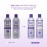 Jhirmack Silver Brightening Purple Shampoo and Conditioner Set for all types of silver, grey, and blonde hair