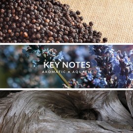 Territoire Eau De Parfum, Men\'s Cologne (Wild) Territoire Eau De Parfum, Men\'s Cologne (Wild)