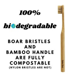 Gaia Guy Natural Bristle Bamboo Toothbrush (NO Nylon - Boar Hair ONLY) - Totally Compostable & Biodegradable Boar Bristle and Bamboo Toothbrushes - Zero Waste - 6-Pack Gaia Guy Natural Bristle Bamboo Toothbrush (NO Nylon - Boar Hair ONLY) - Totally Compostable & Biodegradable Boar Bristle and Bamboo Toothbrushes - Zero Waste - 6-Pack