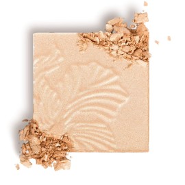wet n wild MegaGlo Highlighting Powder Warm Gold Golden Flower Crown wet n wild MegaGlo Highlighting Powder Warm Gold Golden Flower Crown
