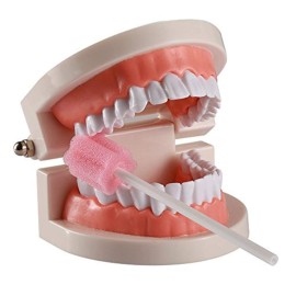 100PCS Disposable Mouth Swabs Sponge - Unflavored, Sterile Oral Swabs Dental Swabsticks for Mouth Cleaning 100PCS Disposable Mouth Swabs Sponge - Unflavored, Sterile Oral Swabs Dental Swabsticks for Mouth Cleaning