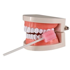 100PCS Disposable Mouth Swabs Sponge - Unflavored, Sterile Oral Swabs Dental Swabsticks for Mouth Cleaning 100PCS Disposable Mouth Swabs Sponge - Unflavored, Sterile Oral Swabs Dental Swabsticks for Mouth Cleaning