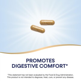 Nature\'s Way Ginger Root, Promotes Digestive Comfort*, Reduces Motion-Related Nausea*, 1,100 mg Per 2-capsule Serving, Non-GMO Project Verified, Vegan, 240 Capsules Nature\'s Way Ginger Root, Promotes Digestive Comfort*, Reduces Motion-Related Nausea*, 1,100 mg Per 2-capsule Serving, Non-GMO Project Verified, Vegan, 240 Capsules
