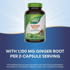 Nature\'s Way Ginger Root, Promotes Digestive Comfort*, Reduces Motion-Related Nausea*, 1,100 mg Per 2-capsule Serving, Non-GMO Project Verified, Vegan, 240 Capsules Nature\'s Way Ginger Root, Promotes Digestive Comfort*, Reduces Motion-Related Nausea*, 1,100 mg Per 2-capsule Serving, Non-GMO Project Verified, Vegan, 240 Capsules